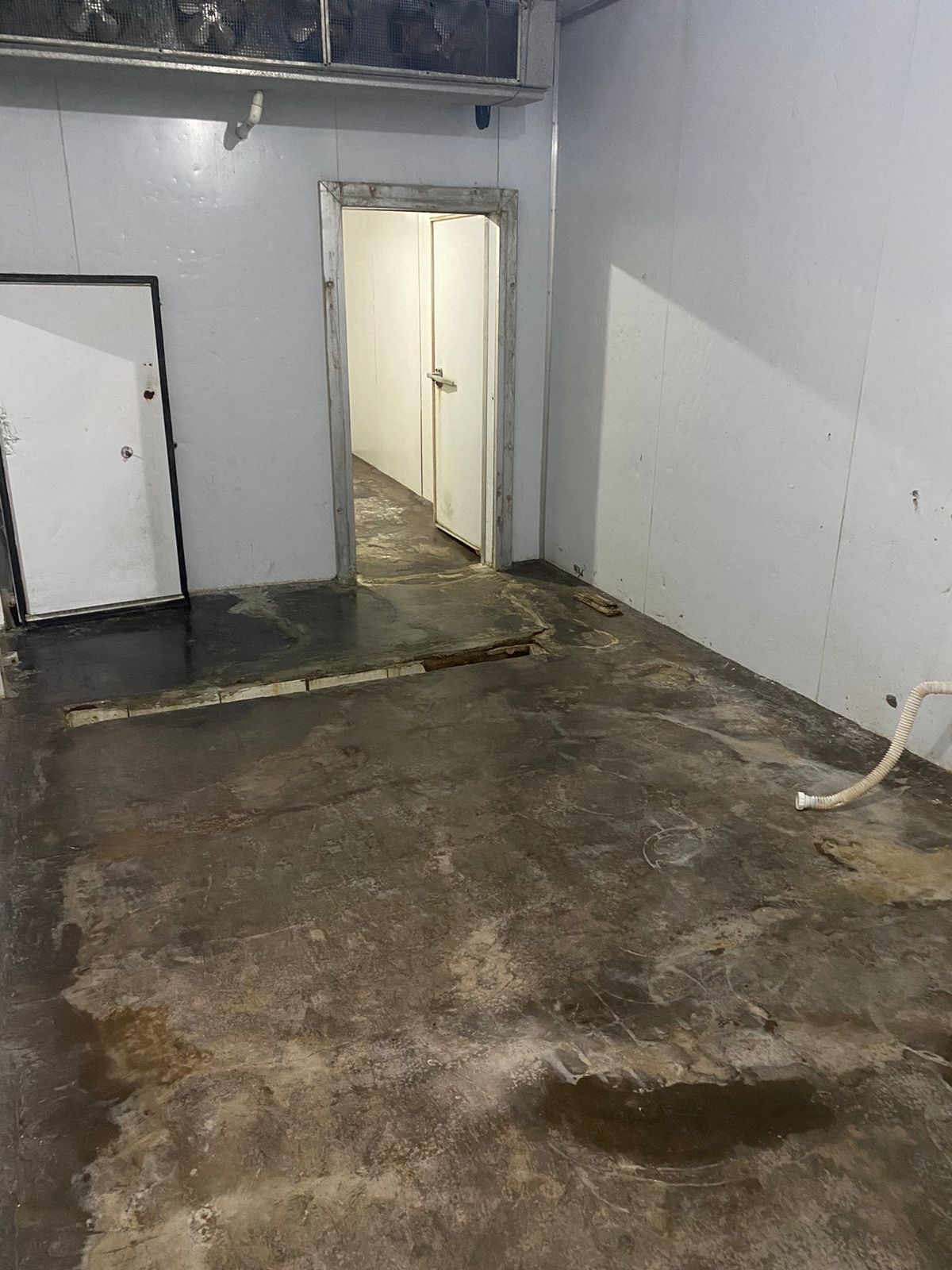 WhatsApp Image 2023-11-01 at 13.25.12.jpeg