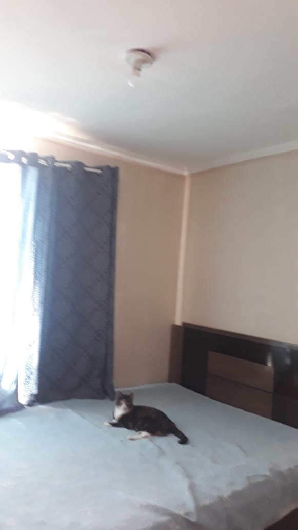 WhatsApp Image 2022-02-21 at 14.22.29 (3).jpeg