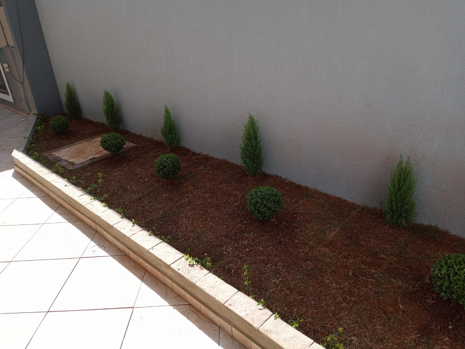 WhatsApp Image 2022-09-14 at 16.14.22.jpeg