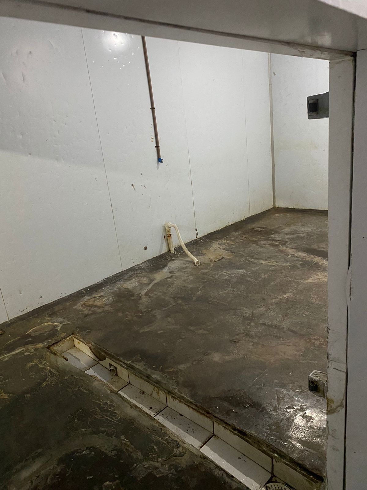 WhatsApp Image 2023-11-01 at 13.25.11 (2).jpeg