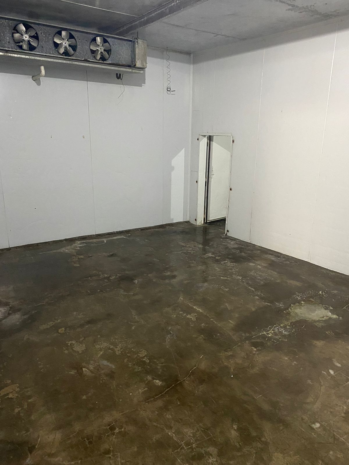 WhatsApp Image 2023-11-01 at 13.25.11.jpeg